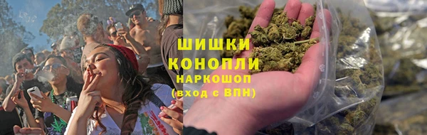 сатива Алзамай