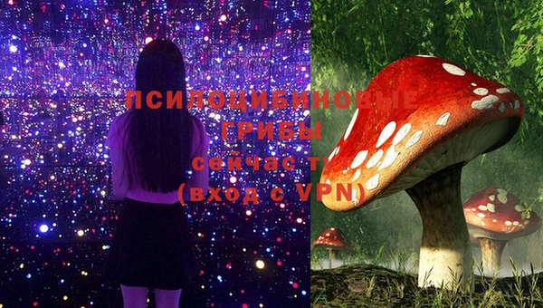 мяу мяу кристалл Алексин