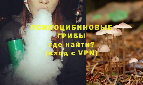 сатива Алзамай