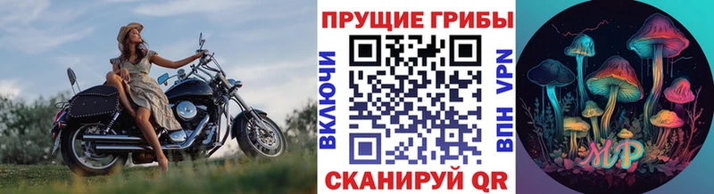 как найти наркотики  Котлас  Псилоцибиновые грибы Magic Shrooms 